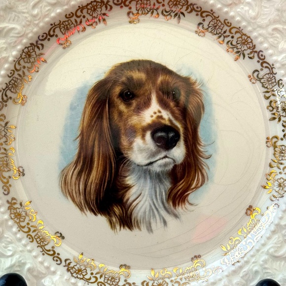 Lord Nelson English Pottery - Springer Spaniel Portrait Plate - Vintage - Picture 2 of 5